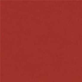 Χαρτί Canson Colorline 50X70 220gr (15 Red)