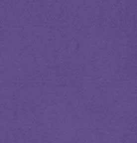 Χαρτί Canson Colorline 50X70 220gr (19 Blueberry)