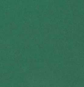 Χαρτί Canson Colorline 50X70 220gr (31 Fir Tree Πράσινο)