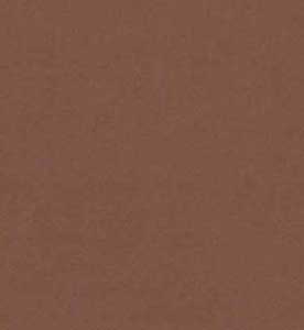 Χαρτί Canson Colorline 50X70 220gr (34 Chocolate)