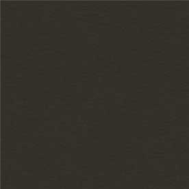 Χαρτί Canson Colorline 50X70 220gr (38 Black)