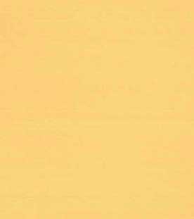 Χαρτί Canson Colorline 50X70 150gr (151 Mustard Yellow)