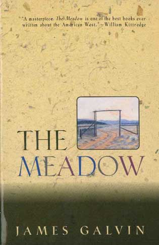 The Meadow - [Used]