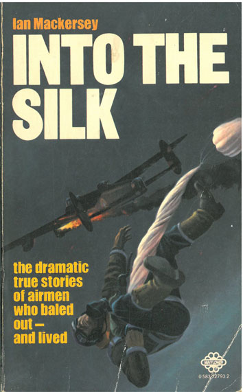 Into the Silk - [Used]