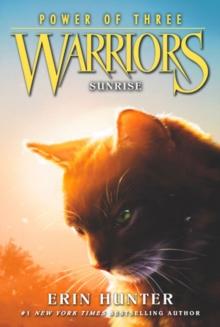 WARRIORS: POWER OF THREE (6): SUNRISE