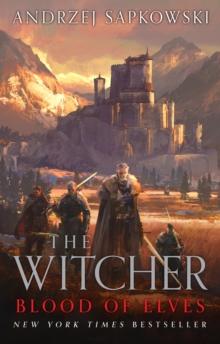 THE WITCHER (06): BLOOD OF ELVES