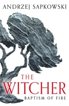 THE WITCHER (03): BAPTISM OF FIRE