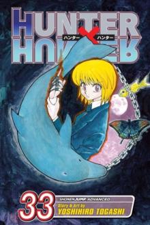 HUNTER X HUNTER: VOL 33