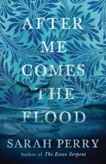 AFTER ME COMES THE FLOOD