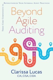 BEYOND AGILE AUDITING