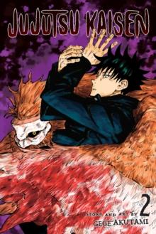 JUJUTSU KAISEN: VOL 02