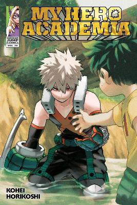 MY HERO ACADEMIA: VOL 29