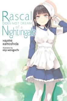 RASCAL DOES NOT DREAM, VOL. 11 (LIGHT NOVEL)