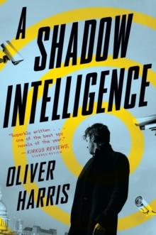 A SHADOW INTELLIGENCE