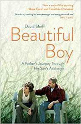 BEAUTIFUL BOY : A FATHER'S JOURNEY THROUGH HIS SON'S ADDICTION