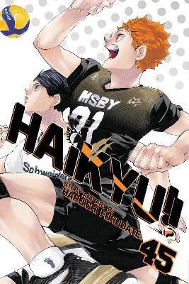 HAIKYU!!: VOL 45