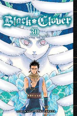 BLACK CLOVER: VOL 30